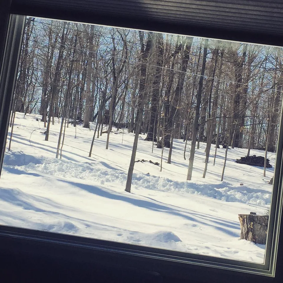 Sitting by a #picturewindow #seriesispypicturewindows #seriessnowyfrostyicings…, 1 of 1