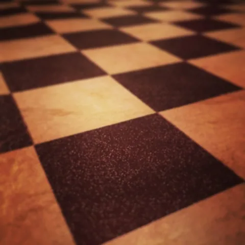 Checkered me out!, 1 of 1