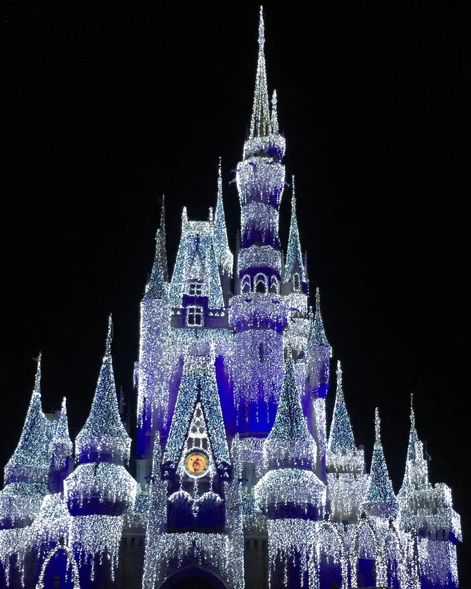 A #frozen holiday wish! #disneymagic #nehalimayephotography, 1 of 1