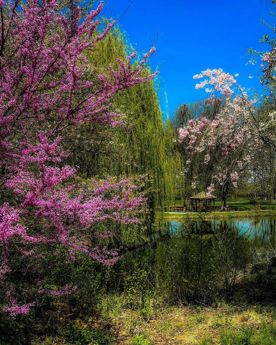 Breathing pink, 1 of 1