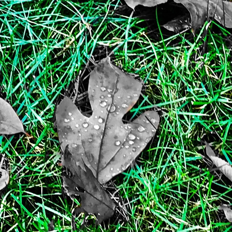It’s all about #perspective #nehalimayephotography, 1 of 1