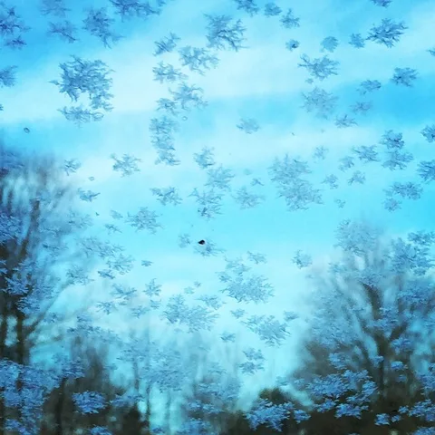 Blue-flakes, 1 of 1