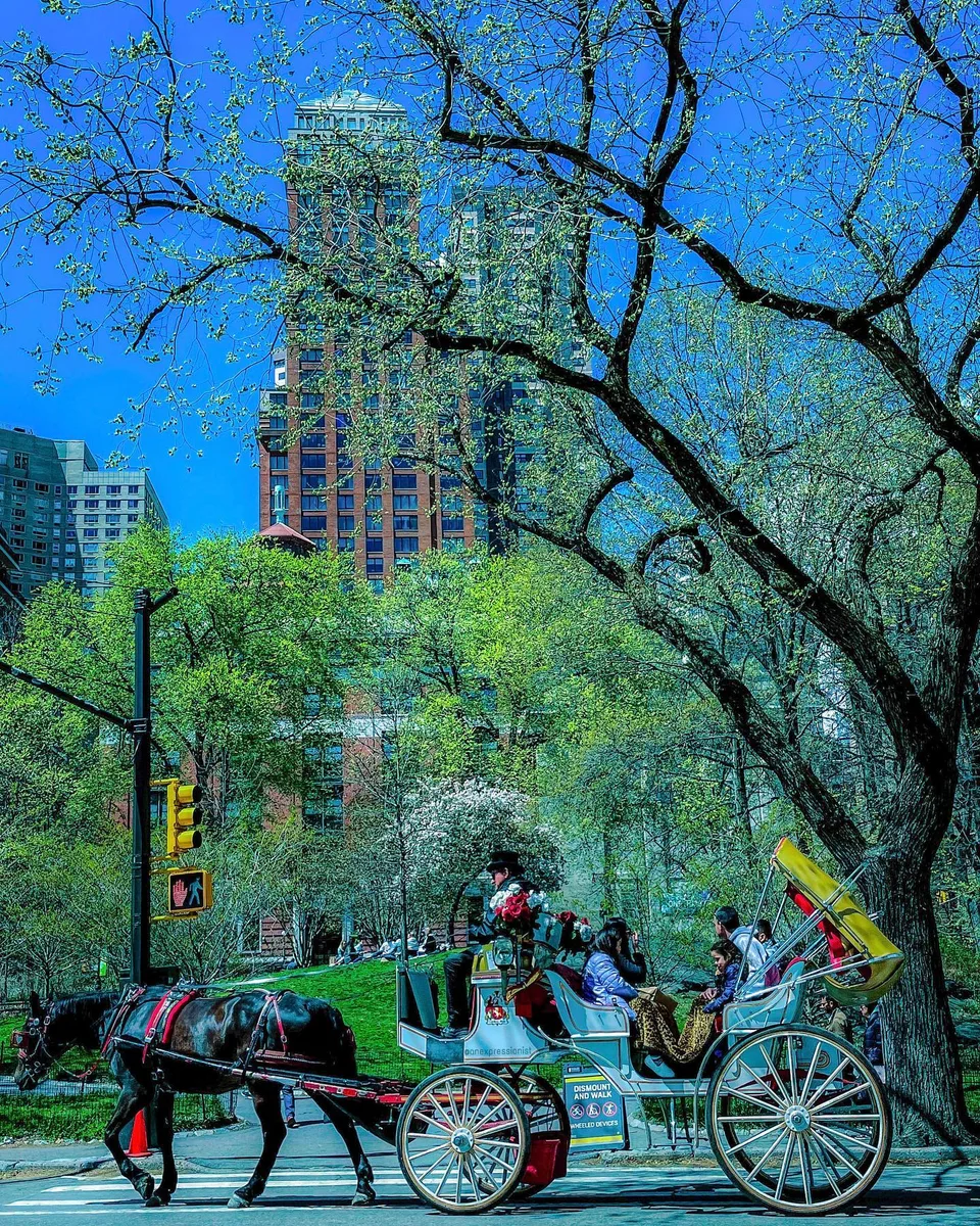 A trot in the Park., 1 of 1