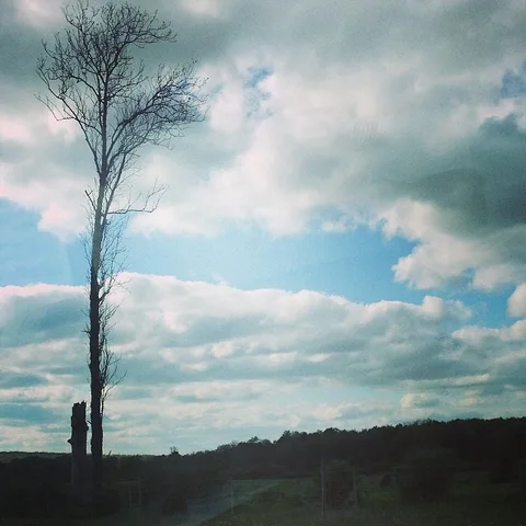 Solitude, 1 of 1