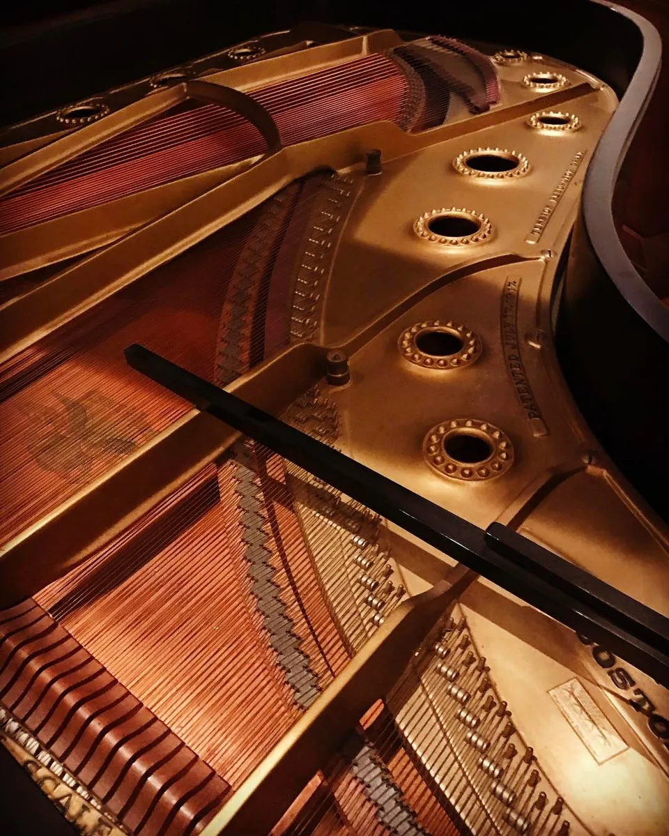 Music comes from the soul... #insidethepiano #mechanics #piano #music #strings…, 1 of 1