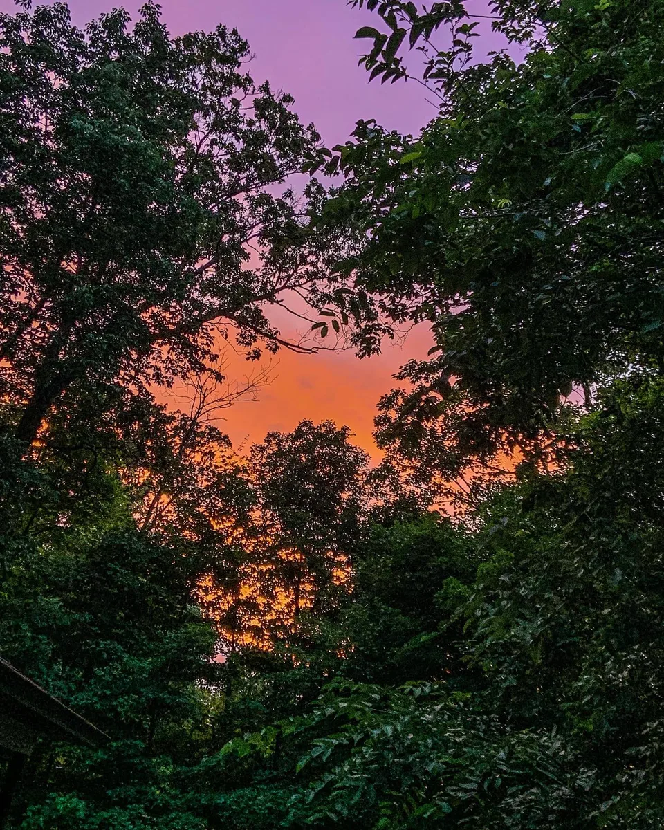 Colors speak volumes..., 1 of 1