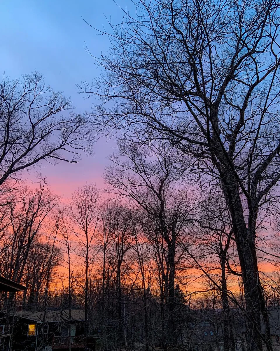 Color me. Color me beautiful. Color me happy., 1 of 1