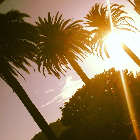 California sunset!, 1 of 1