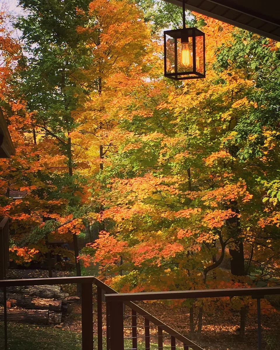 Each shines the other... Colors of glory! #FallAir #FallColors #MesmerizingView…, 1 of 1