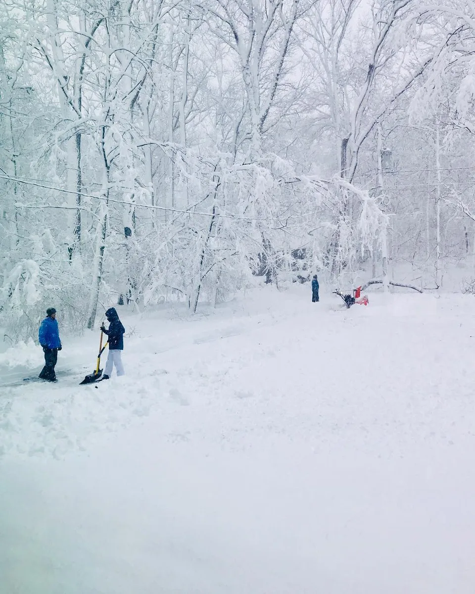 Of #snowstorms gone by... but leaving their mark on us!, 1 of 1