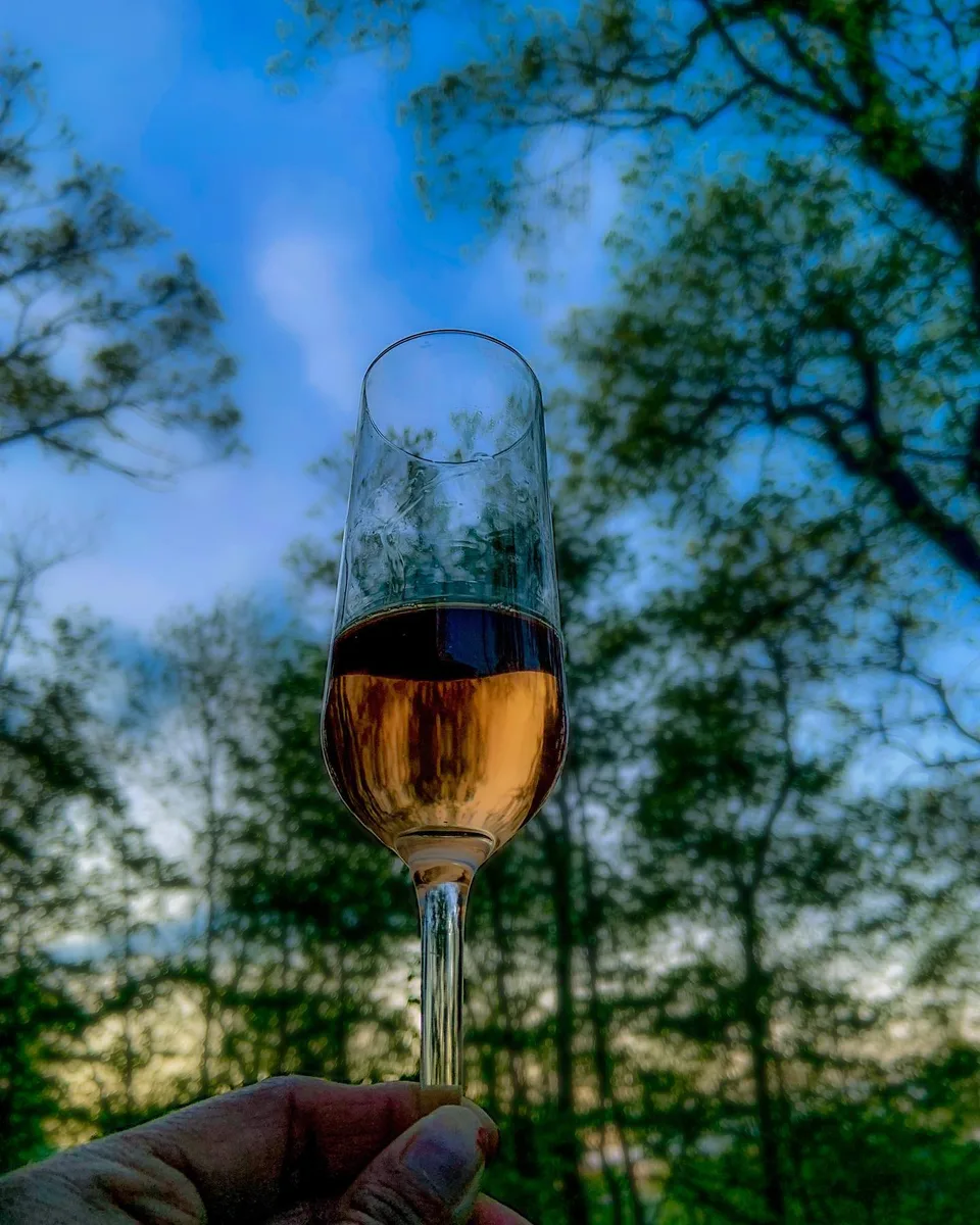 Cheers to the week ahead!, 1 of 1