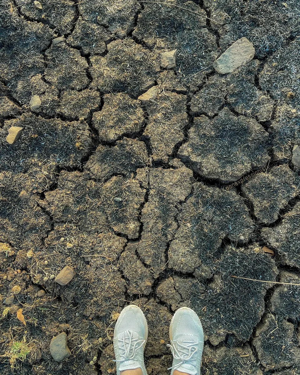 Parching the future, 1 of 1