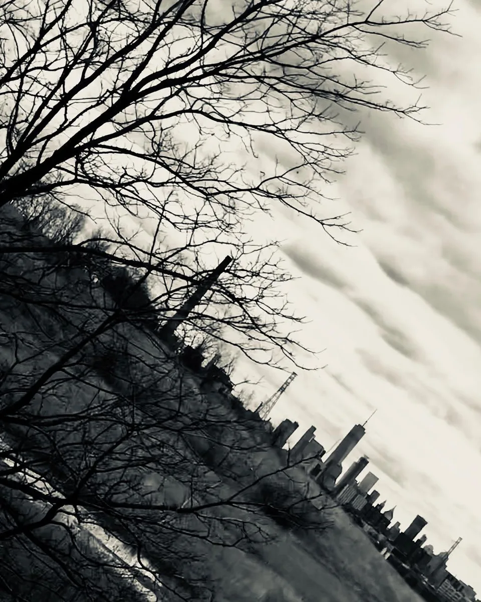 Cloudy train rides... with electric vibes., 1 of 1