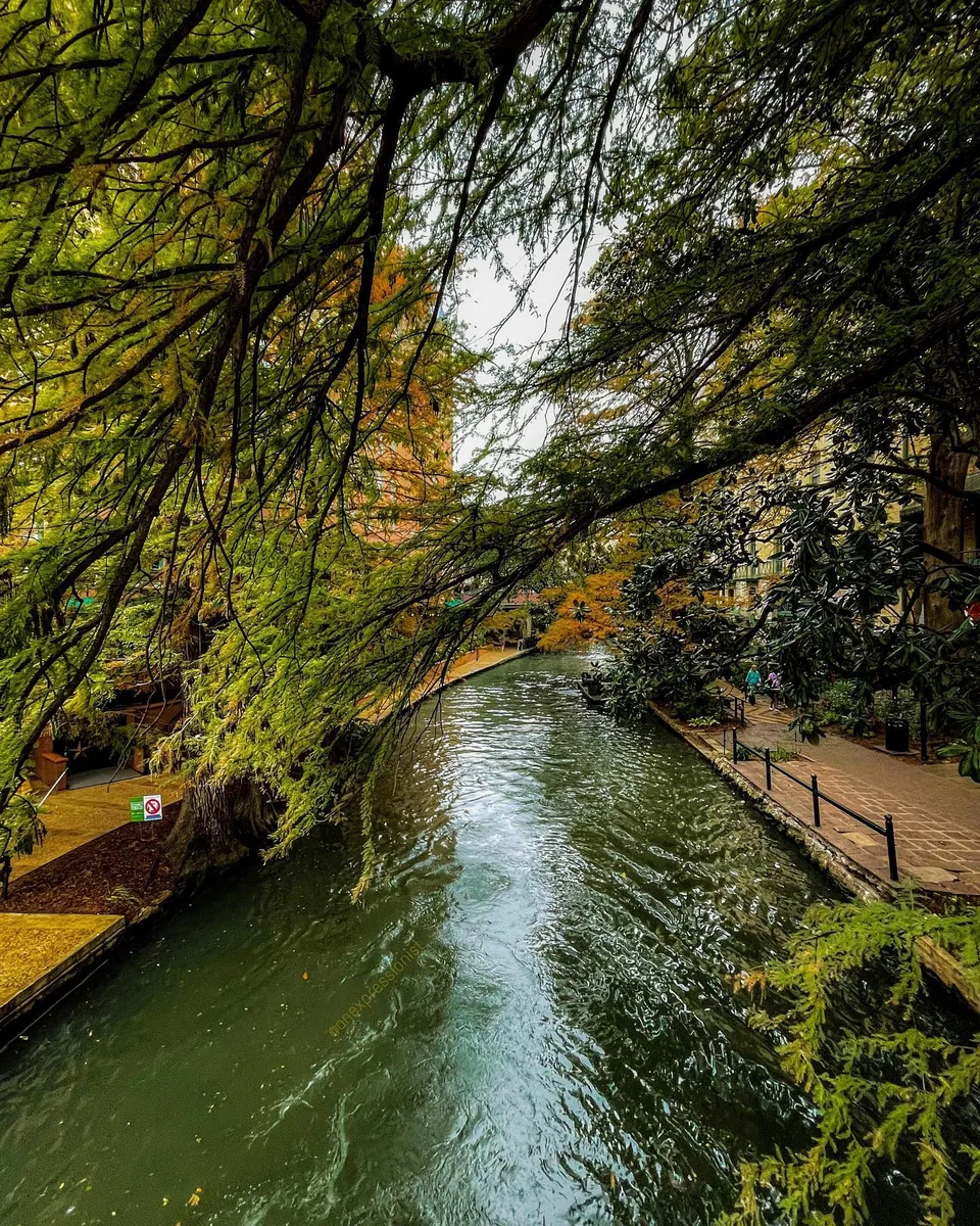 “The river of dreams”, 1 of 1