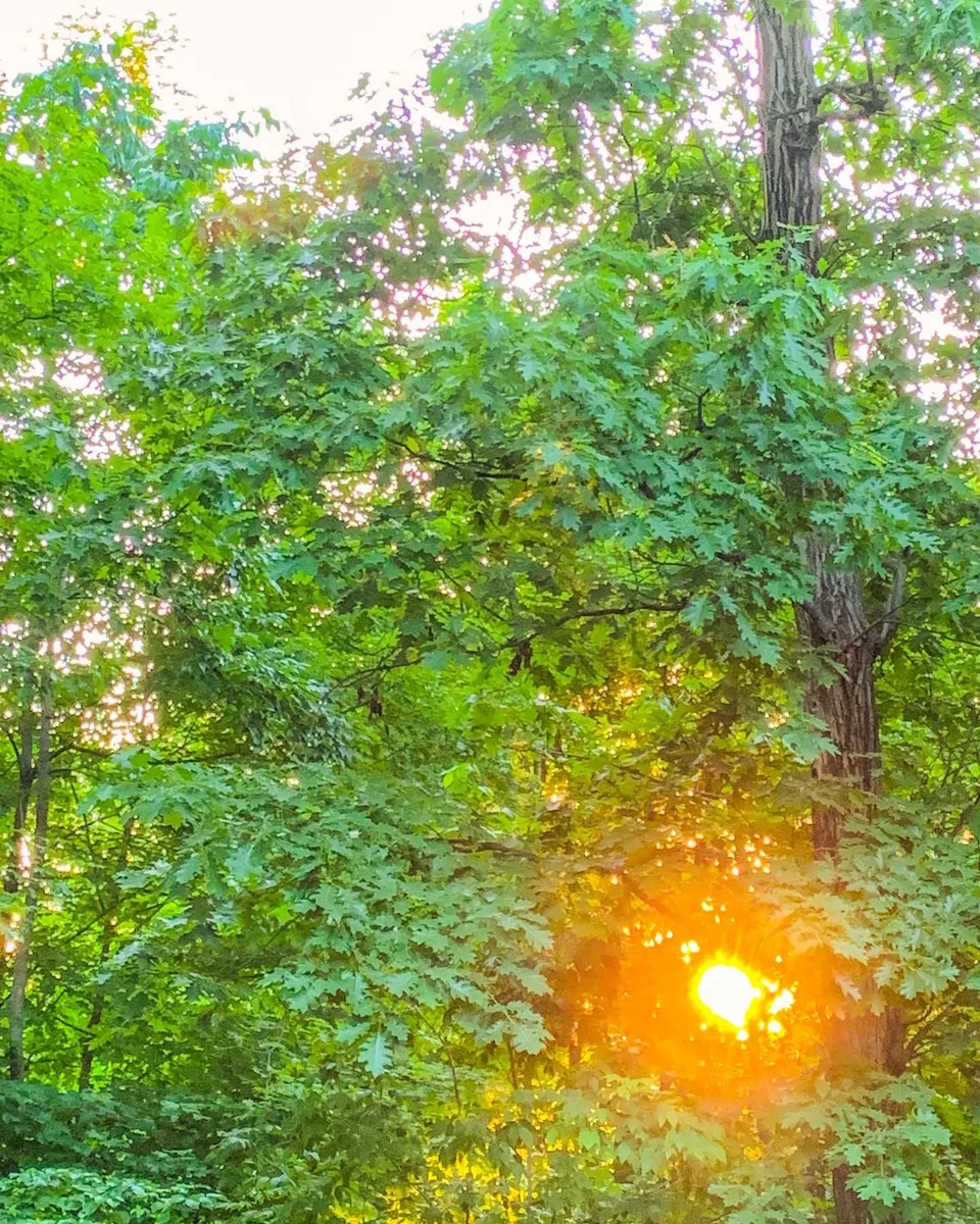 A burst of gold!, 1 of 1