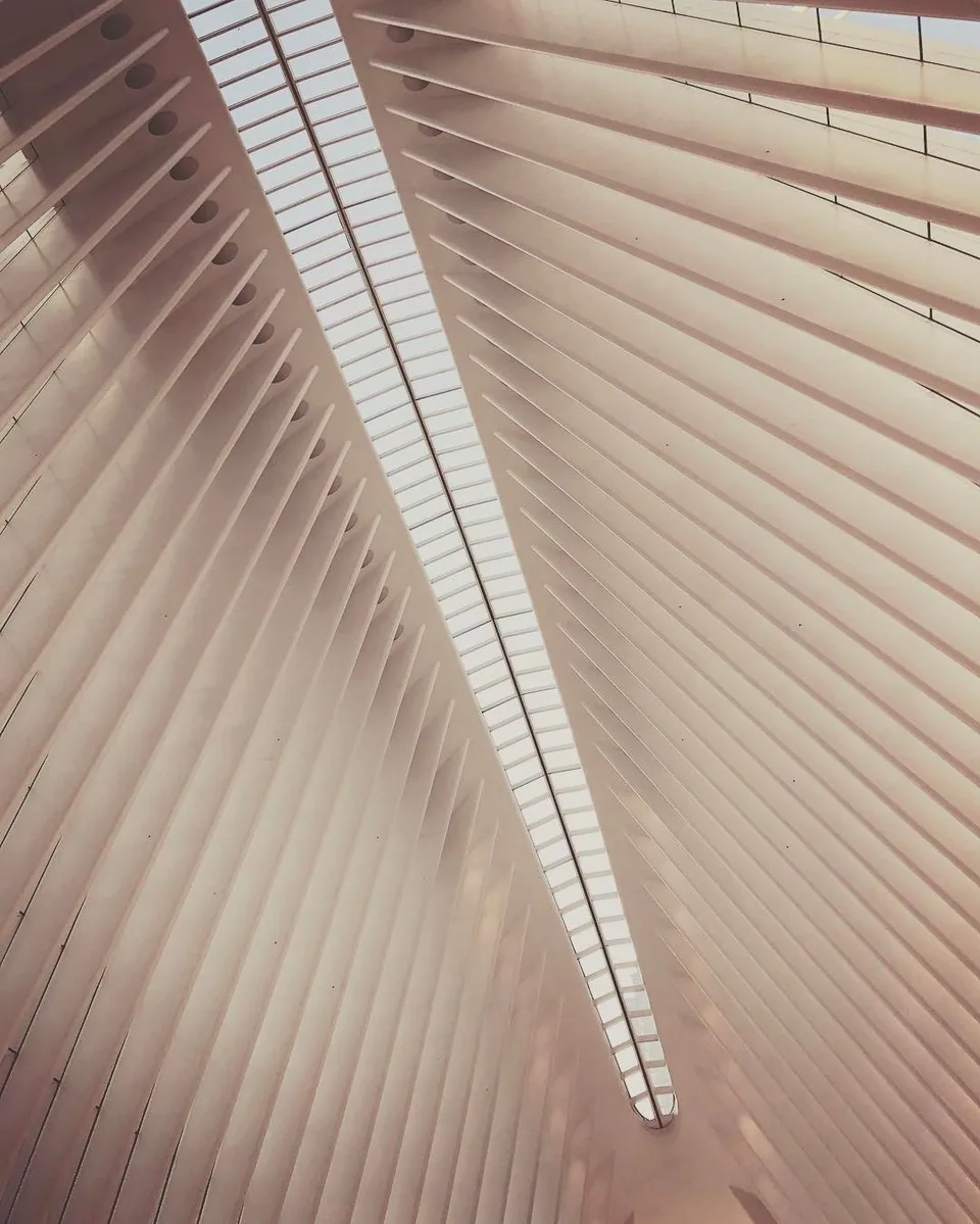 Taking flight... #oculus #wtc #worldtradecenter #newyork #newyorkcity #nyc…, 1 of 1