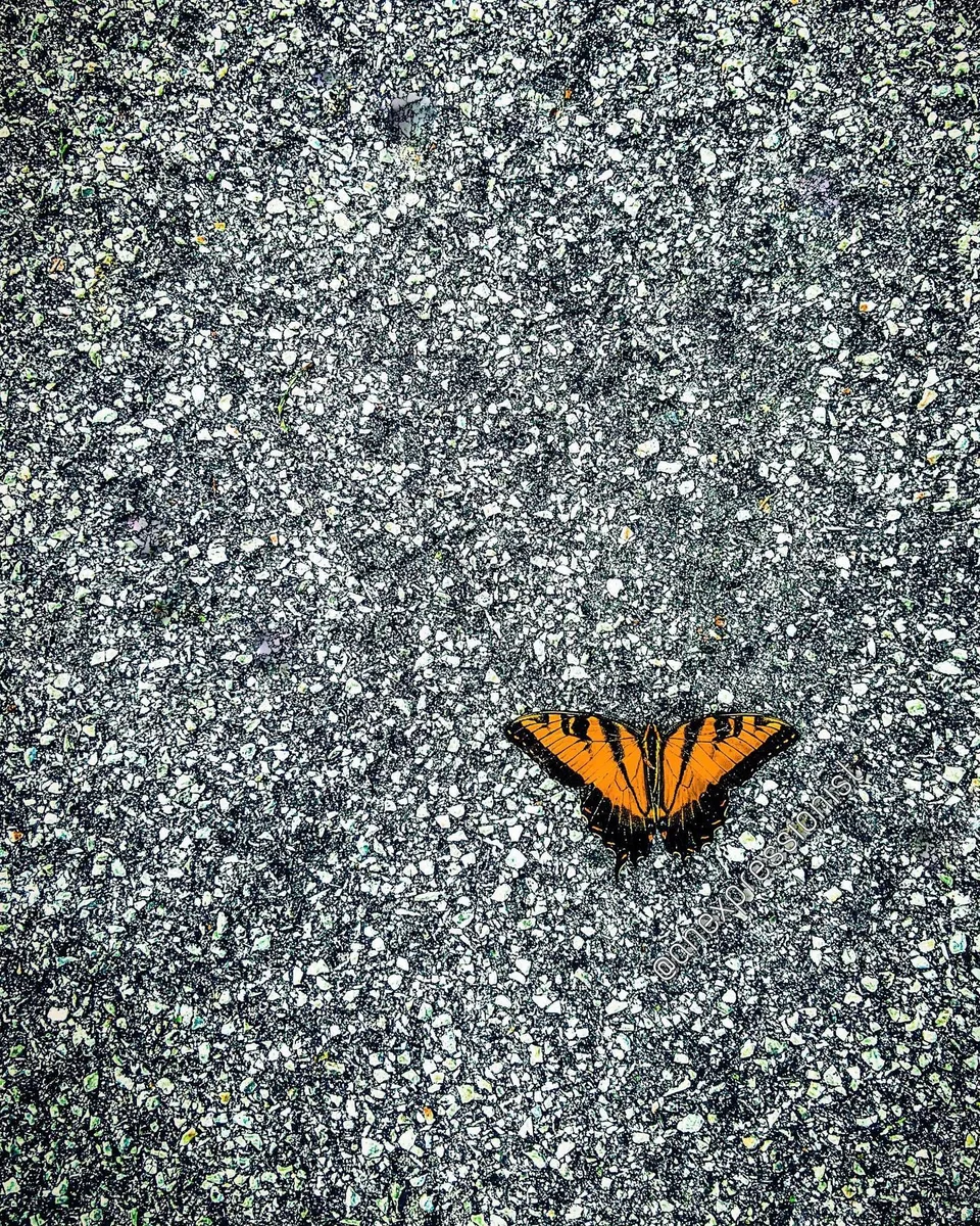 Awaiting, 1 of 1