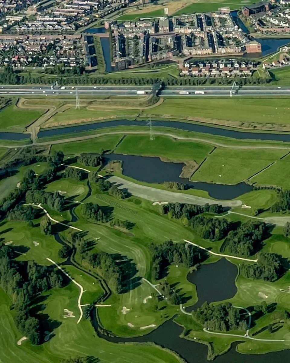 Life golfs, 1 of 1
