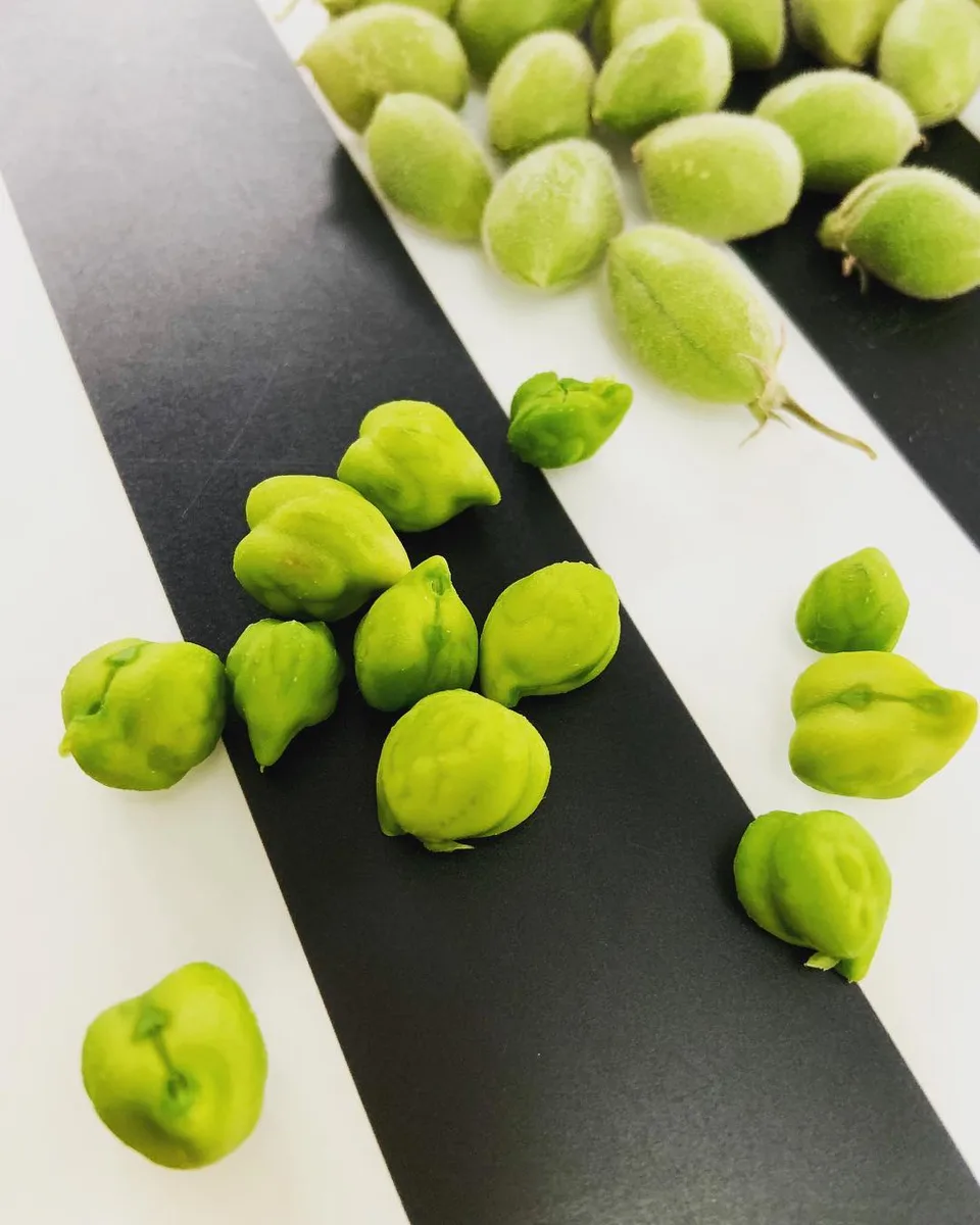 Fresh. Green. Wholesome., 1 of 1