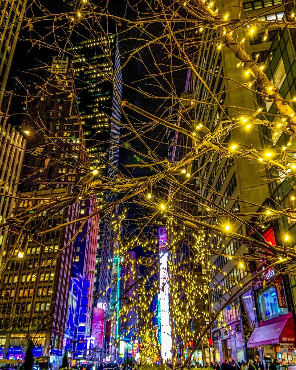 ‘Tis the season... to light up your spirits. Creating a never ending web of…, 1 of 1
