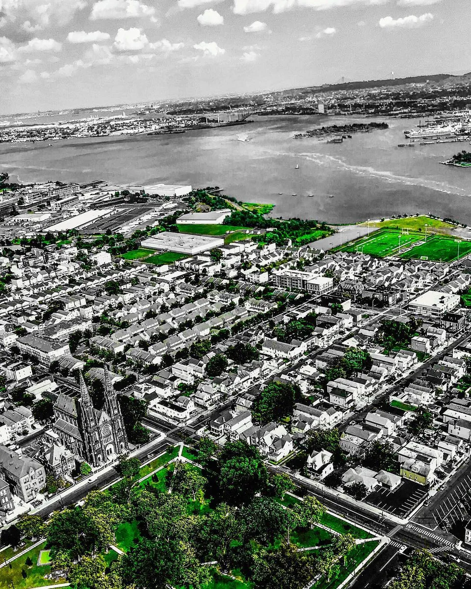 Green solaces: Concrete jungles, 1 of 1