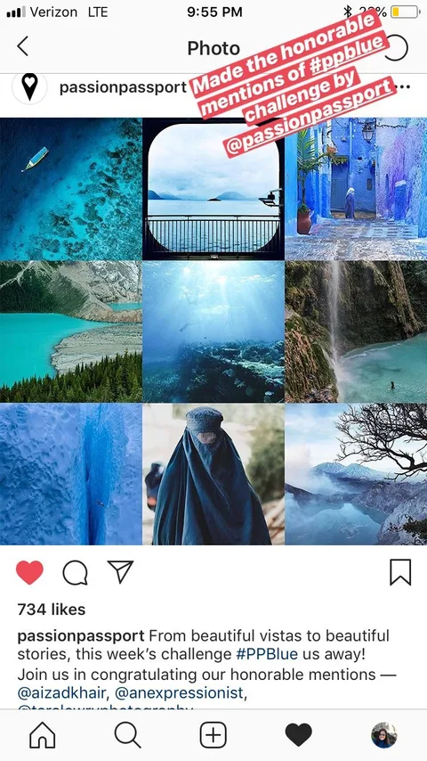 Made the honorable mentions of #ppblue challenge by @passionpassport