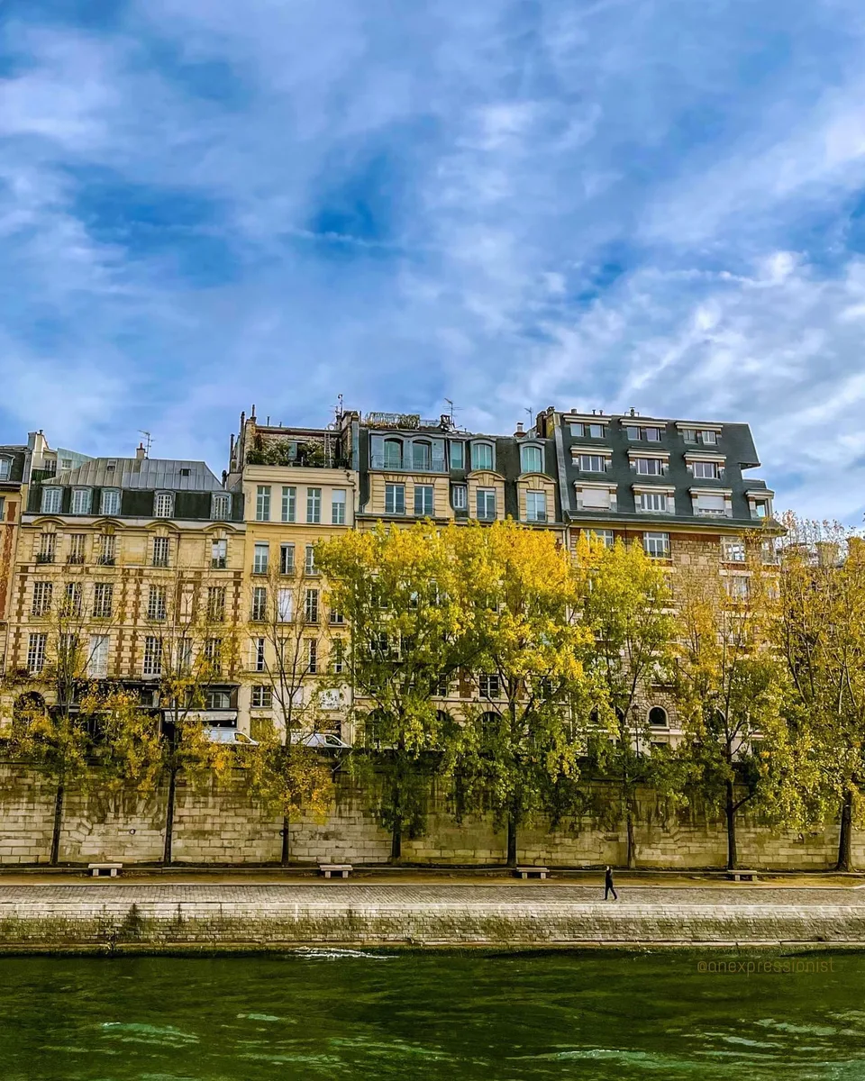 Paris Gold, 1 of 1