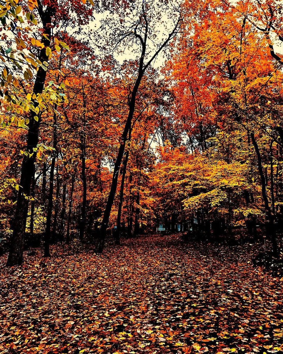 When the path isn’t obvious... you imagine, you pave, you walk., 1 of 1