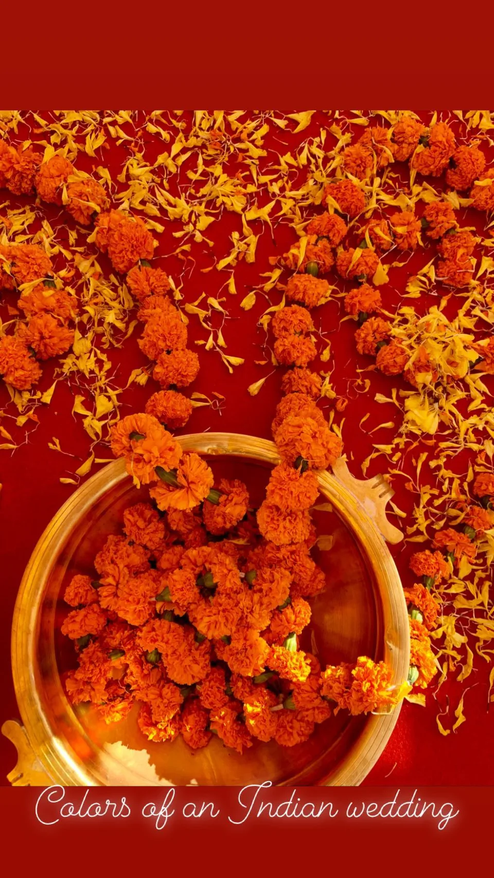 Colors of an Indian wedding