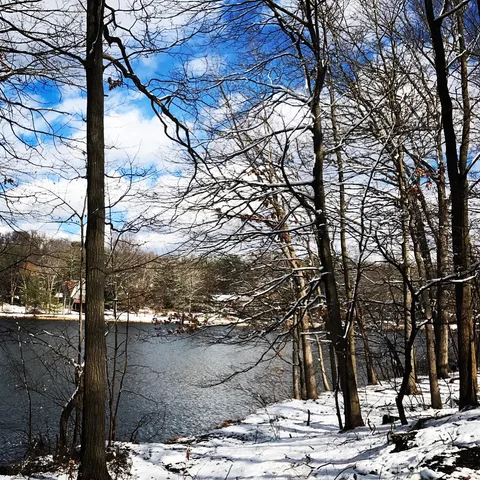 #beautiful from every angle... #walkbythelake #seriessnowyfrostyicings…, 3 of 4
