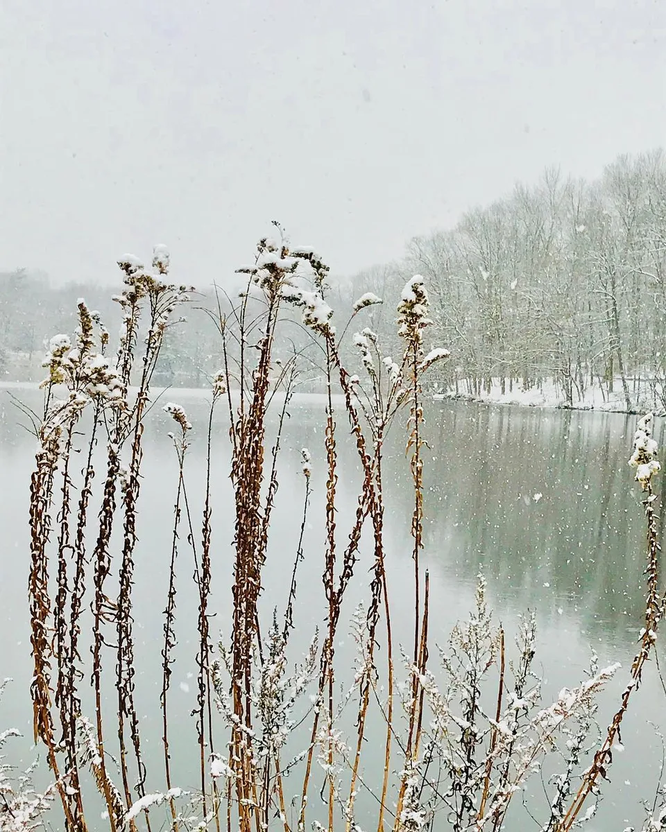 Snow me in #firstsnow #beautiful #lifebythelake #seriessnowyfrostyicings, 1 of 1