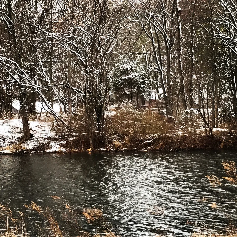 #beautiful from every angle... #walkbythelake #seriessnowyfrostyicings…, 4 of 4
