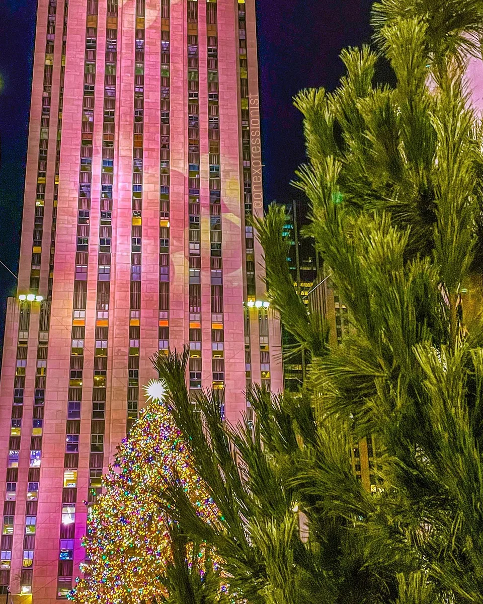 From one tree to another…, 1 of 1