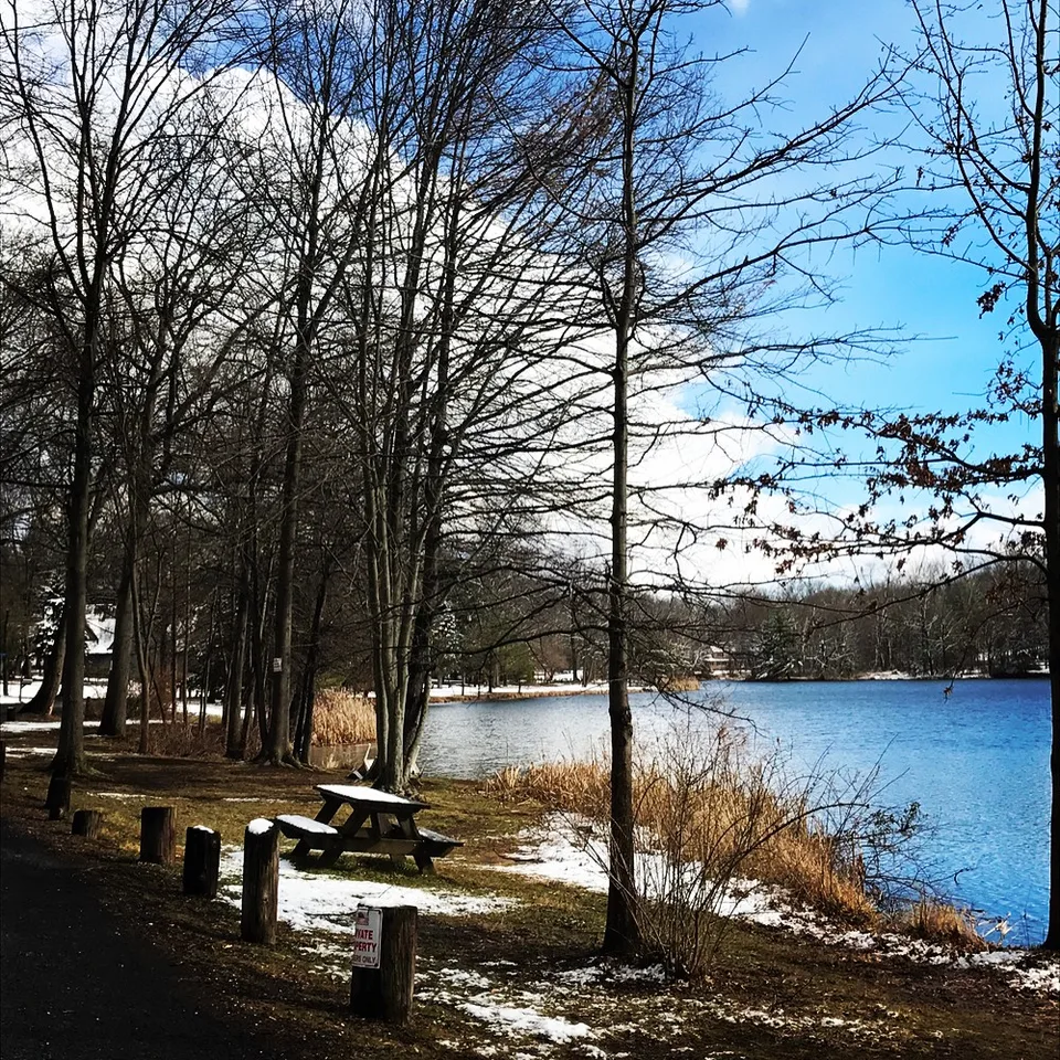 #beautiful from every angle... #walkbythelake #seriessnowyfrostyicings…, 1 of 4