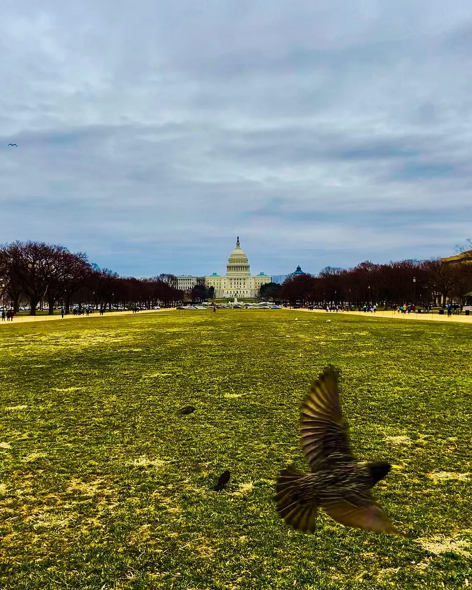 You can stop governing, but you can’t stop me from flying 😊, 1 of 1