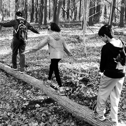 Leading with balance... #seriesthegardenstateofmind #nehalimayephotography, 1 of 1
