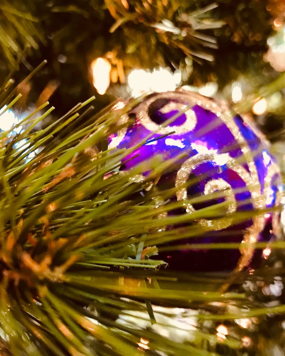 The colors of #warmandfuzzy on a #snowday. #countdowntochristmas, 3 of 3