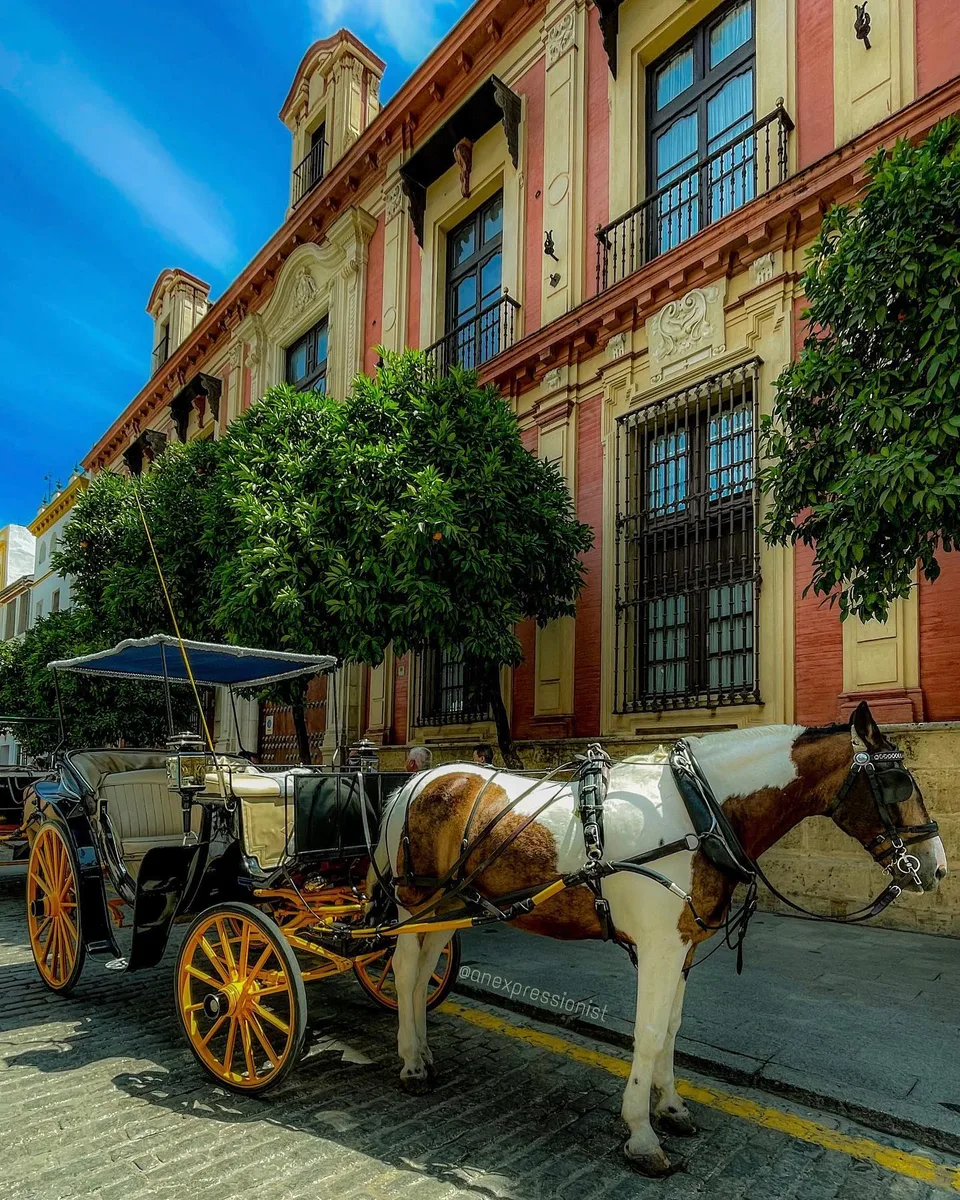 My carriage awaits, 1 of 1